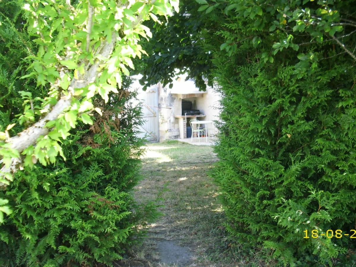 Villa Châtillon-sur-Indre, 3 pièces, 4 personnes - FR-1-591-41 Extérieur photo